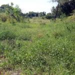 Port Reitz Commercial Land- Mombasa