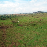 10 Acres For Sale In Juja