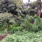 Plot For Sale Along Ring Road, Kilimani