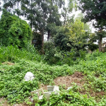 Plot For Sale Along Ring Road, Kilimani