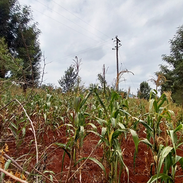 Plot for sale along Njathaini Rd
