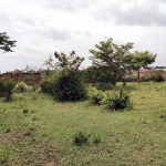 Land For Sale In Ruiru- Varsityville Estate