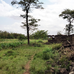 Land For Sale In Ruiru- Varsityville Estate