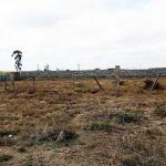 Isinya Town Plots: 8 Plots Each 1/8 Of An Acre Up For Sale