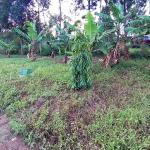 Land For Sale In Kehancha