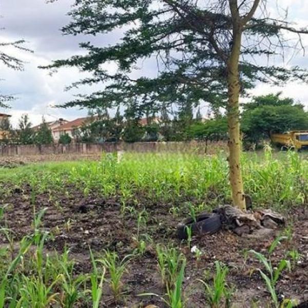 Land For Sale In South B