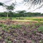 Land For Sale In South B