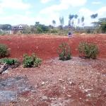River View Estate Plot for Sale – Off Kiambu Road