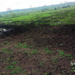 10 Acres For Sale In Juja