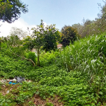 Plot For Sale Along Ring Road, Kilimani