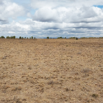 Plots For Sale In Oloika,Kitengela