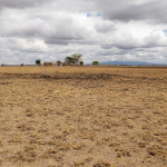 Plots For Sale In Oloika,Kitengela