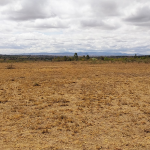 Plots For Sale In Oloika,Kitengela