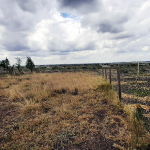 Kitengela Vacant Plots for Sale