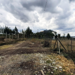 Kitengela Vacant Plots for Sale