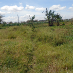 Mutongoni Plot for sale- Athi River