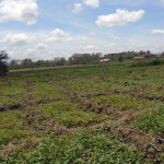 Mutongoni Plot for sale- Athi River
