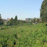 Land for sale in Sigona