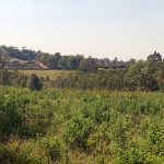Land for sale in Sigona