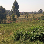 Land for sale in Sigona