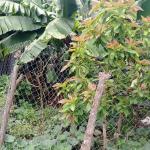 School on sale in Kitengela