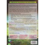 KCSE Masterpiece Revision English P3